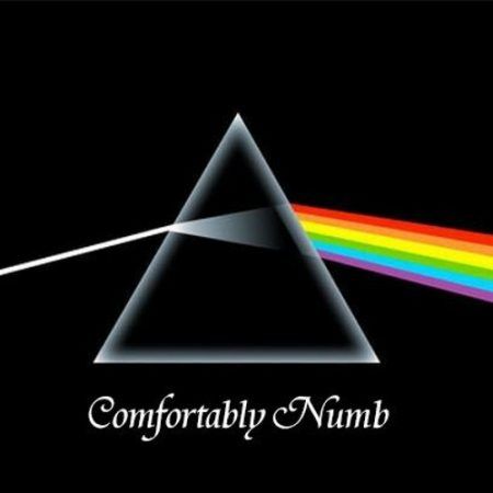 دانلود آهنگ Comfortably numb از Pink Floyd