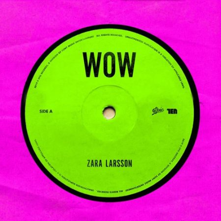 دانلود آهنگ WOW از Zara Larsson Official