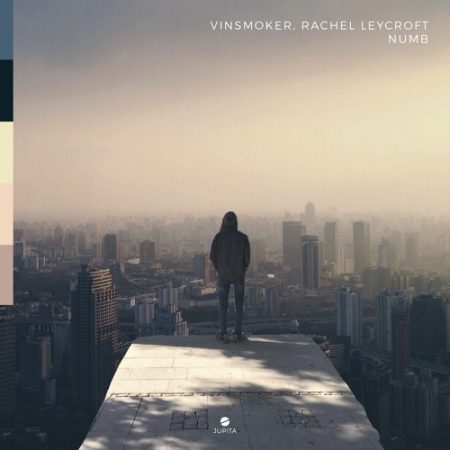 دانلود آهنگ Numb (ft. Rachel Leycroft) از Vinsmoker